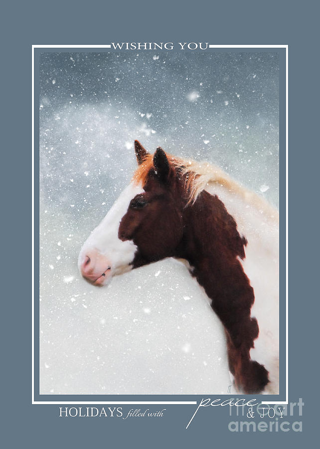 Paint Horse in the Snow Christmas Cards Photograph by Jai Johnson