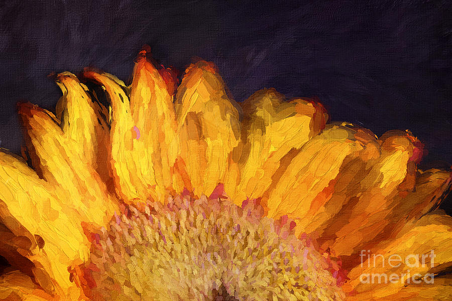 Claude Monet Photograph - Paint Me a Sunflower by Darren Fisher