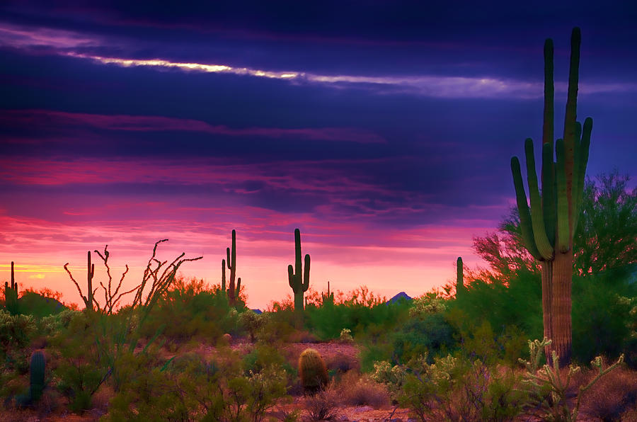 Paint the Desert with Color Photograph by Saija Lehtonen - Fine Art America