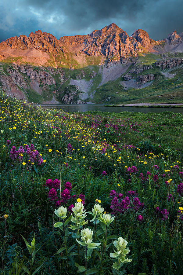 Paintbrush Palette Photograph by Guy Schmickle