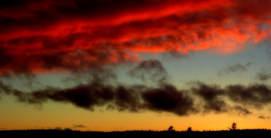 Paintbrush Sunset Photograph by Lori Seaman