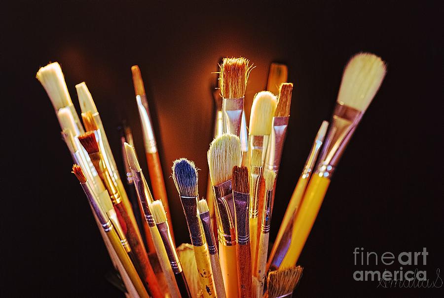 Paintbrushes Photograph by Amalia Suruceanu