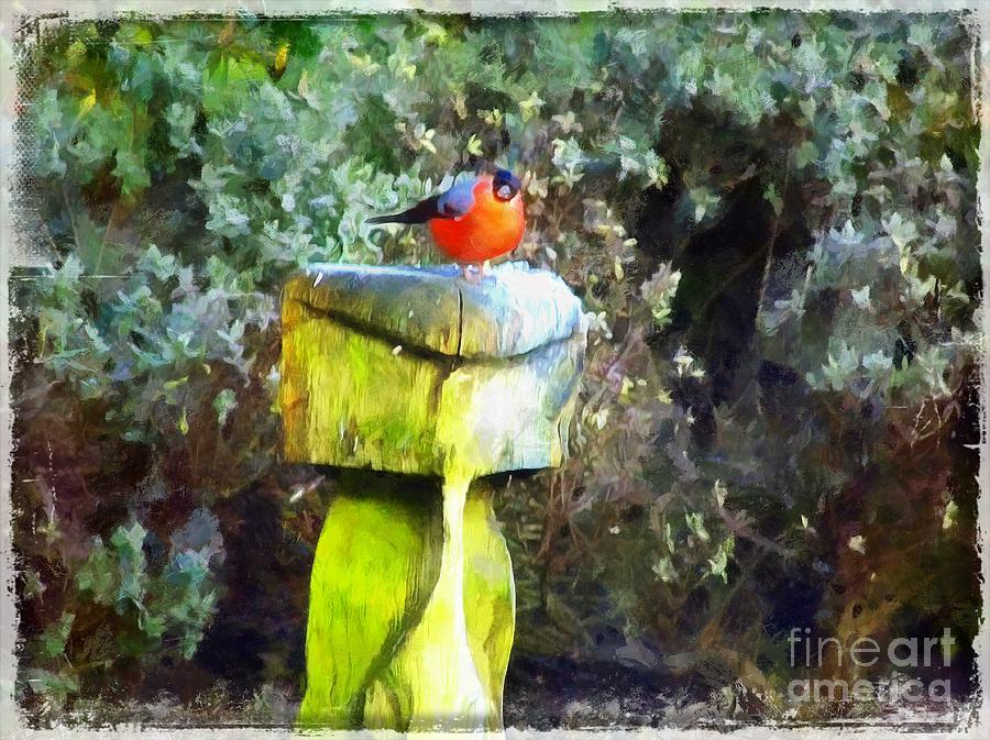 Painted Bullfinch S2 Painting by Vix Edwards