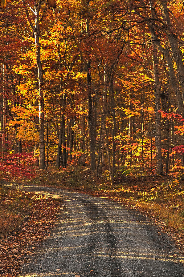 Painted Autumn Country Roads Photograph by Lara Ellis