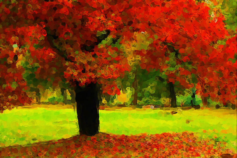 Painted Autumn Photograph by Karol Livote