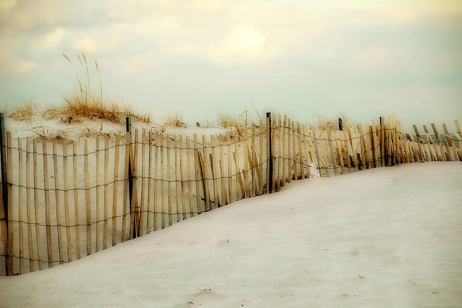 Painted Beach Photograph by Cathy Kovarik