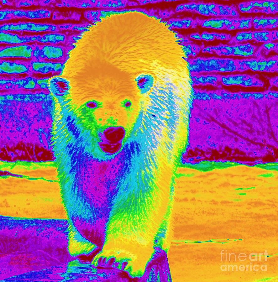 Painted Bear Cub Photograph