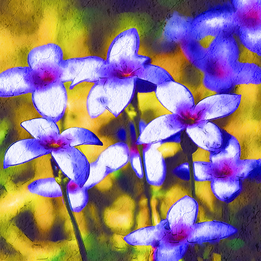 Flower Photograph - Painted Bluets by Kathy Clark
