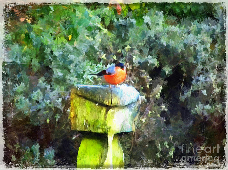 Painted Bullfinch S1 Painting by Vix Edwards