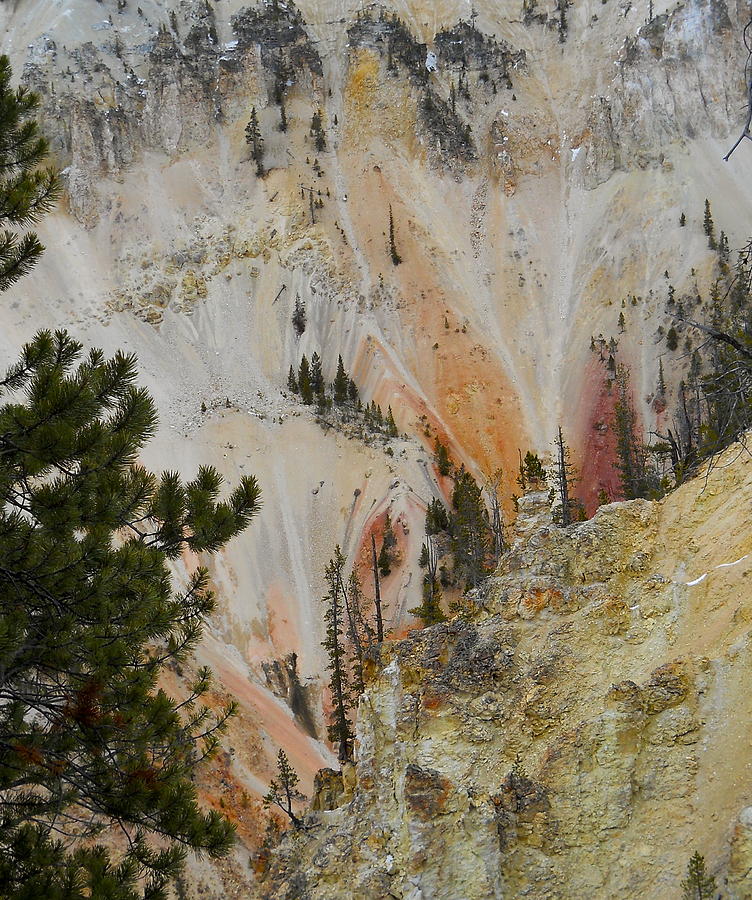 Painted Canyon At Lower Falls Photograph by Michele Myers