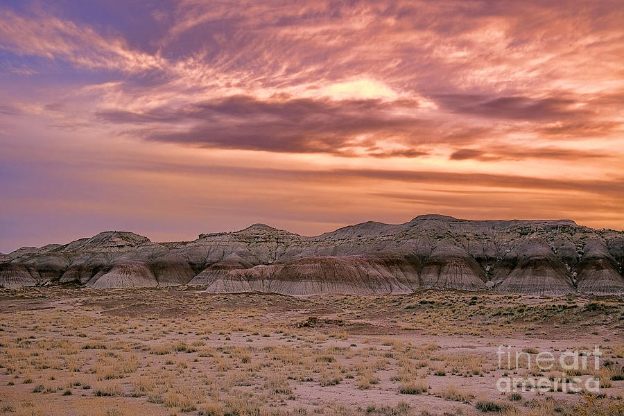 Painted Desert Photograph by Douglas Barnard