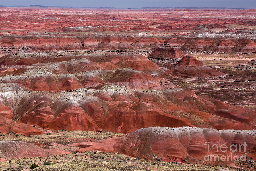 Painted Desert 1 Photograph by Dan Hartford