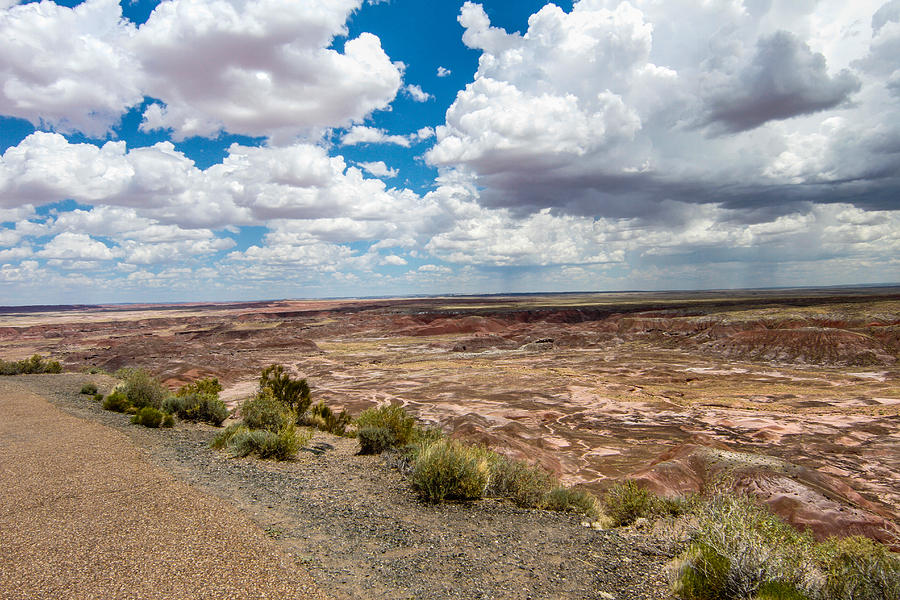 Painted Desert 11 Photograph by Robert Hebert