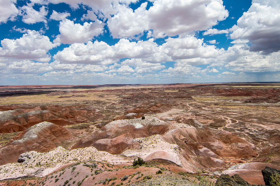Painted Desert 13 Photograph by Robert Hebert