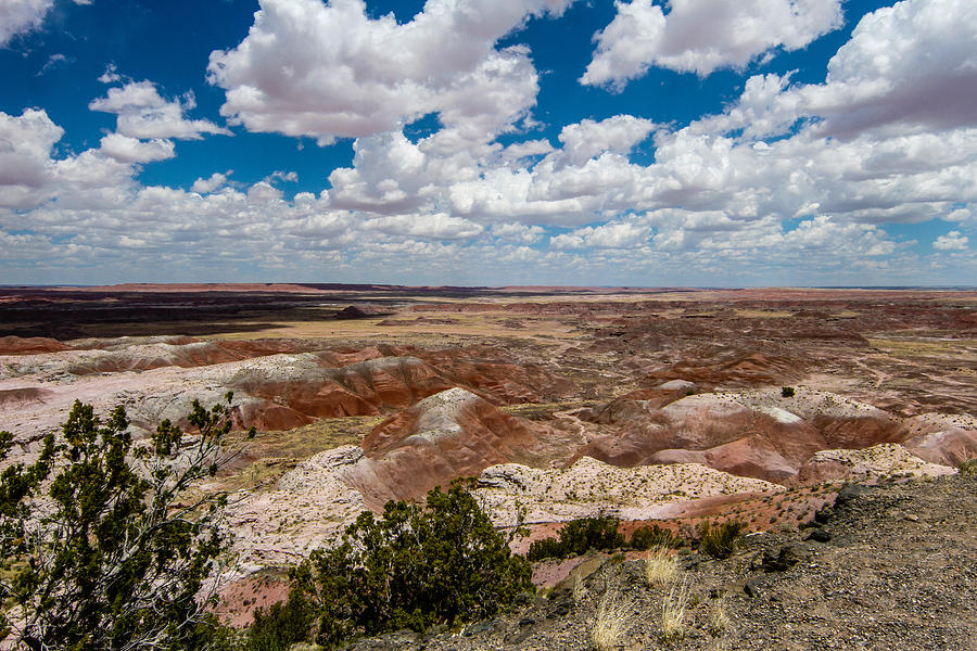 Painted Desert 3 Photograph by Robert Hebert