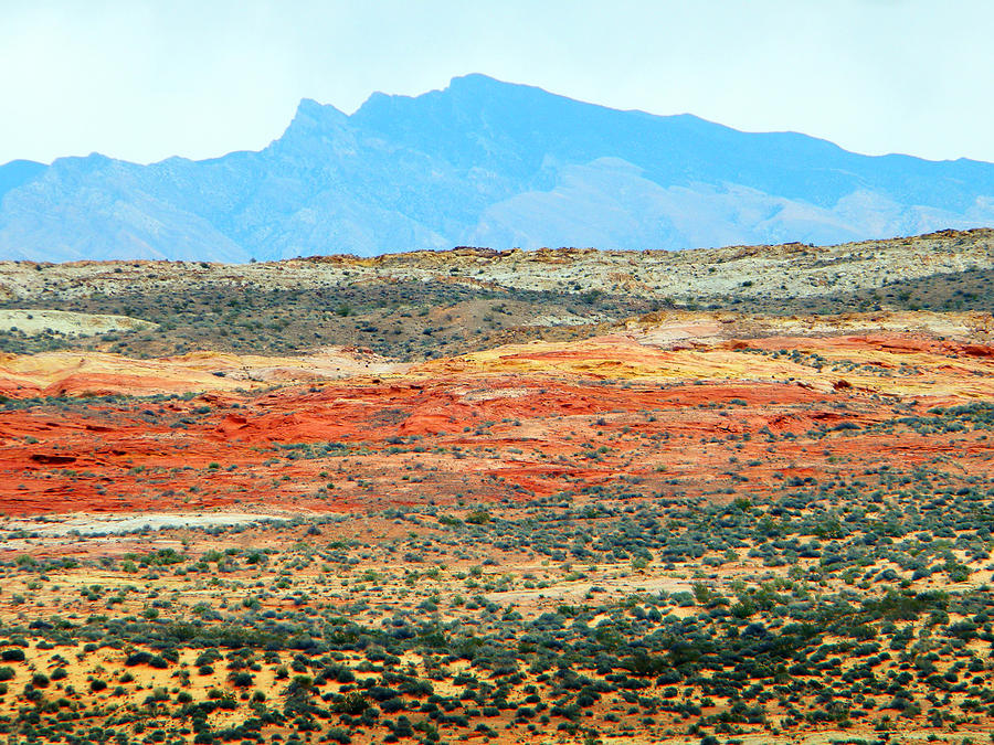 Painted Desert Photograph by Frank Wilson