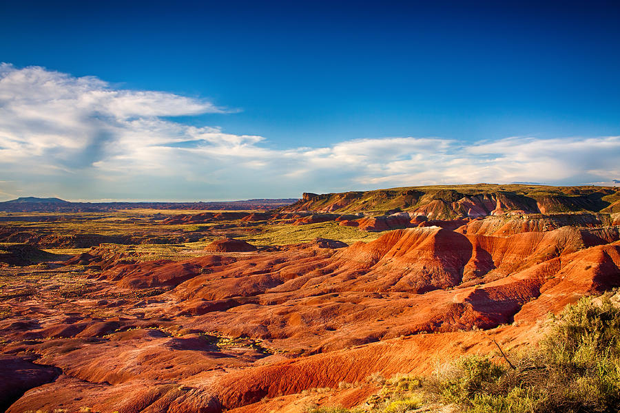Painted Desert Photograph by Fred Larson