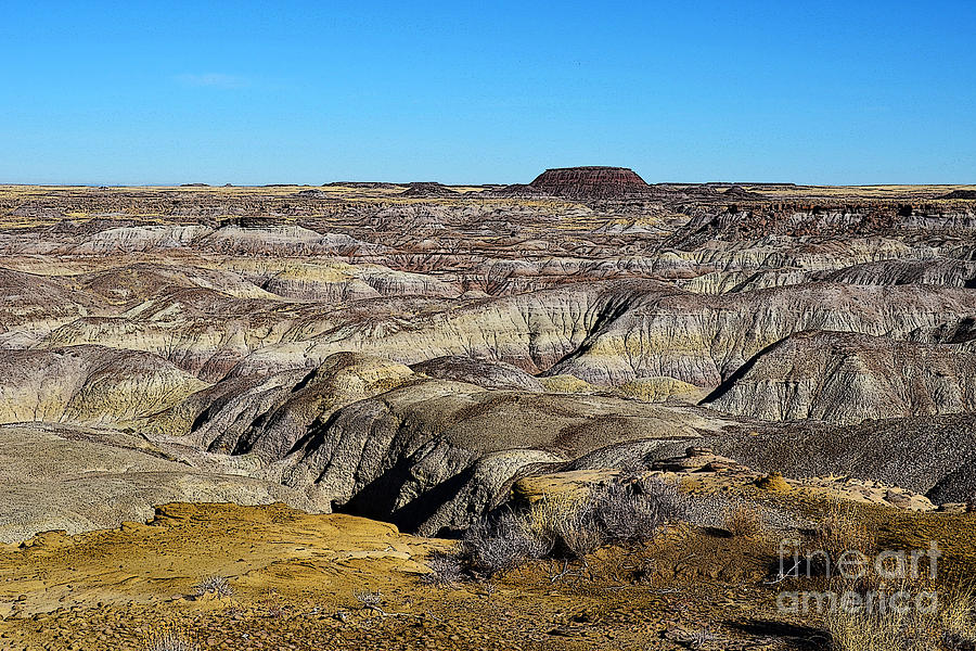 Painted Desert in Petrified Forest National Park Poster Edges Digital Art by Shawn OBrien