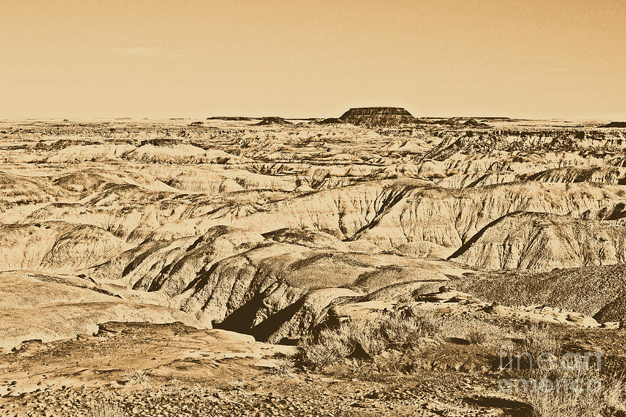 Painted Desert in Petrified Forest National Park Rustic Digital Art by Shawn OBrien