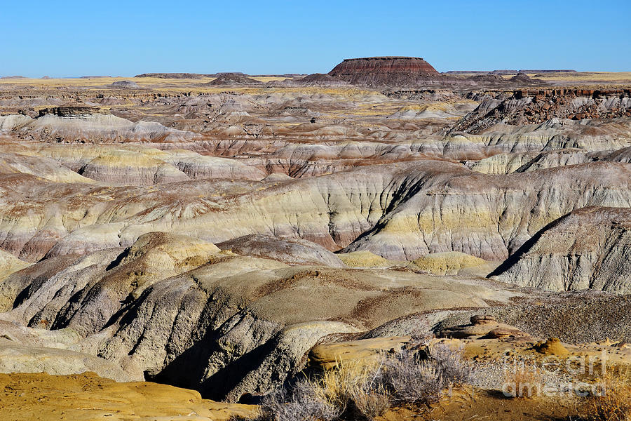 Painted Desert in Petrified Forest National Park Photograph by Shawn OBrien