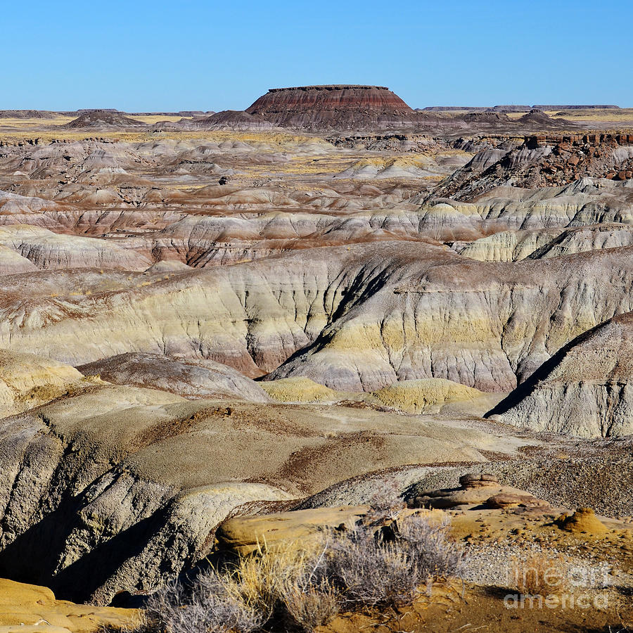 Painted Desert in Petrified Forest National Park Square Photograph by Shawn OBrien