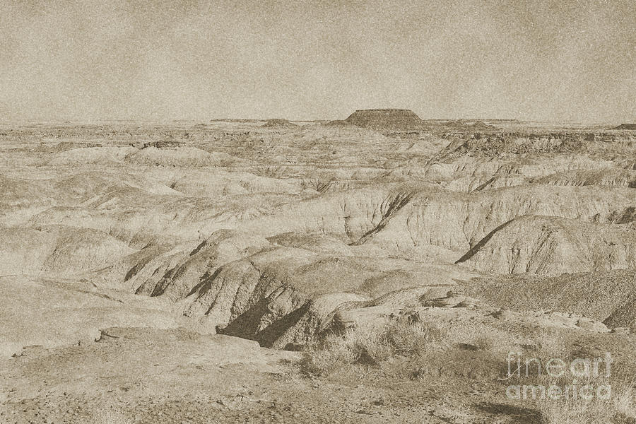 Painted Desert in Petrified Forest National Park Vintage Digital Art by Shawn OBrien