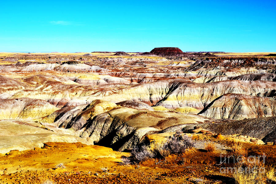 Painted Desert in Petrified Forest National Park Vivid Photograph by Shawn OBrien