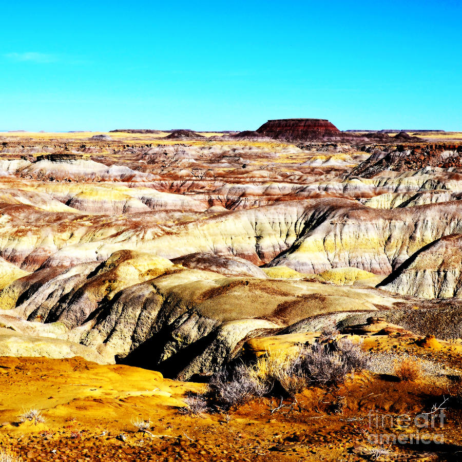 Painted Desert in Petrified Forest National Park Vivid Square Digital Art by Shawn OBrien