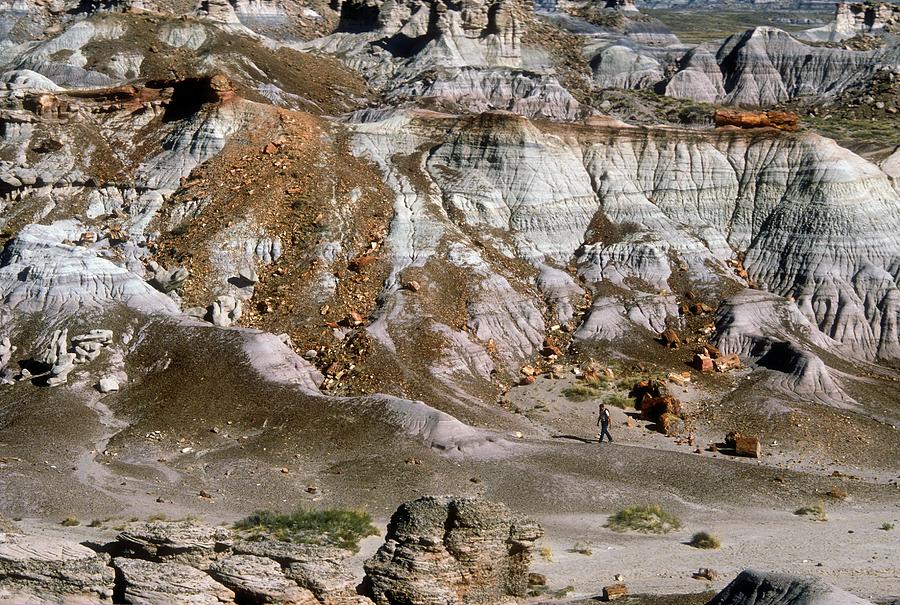 Painted Desert Photograph by Jim West