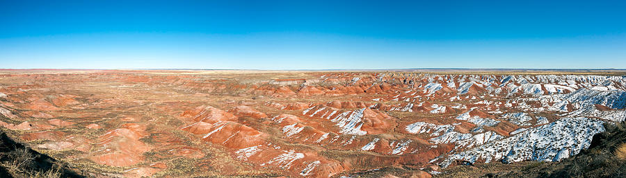 Petrified Forest National Park Photograph - Painted Desert, Petrified Forest by Panoramic Images