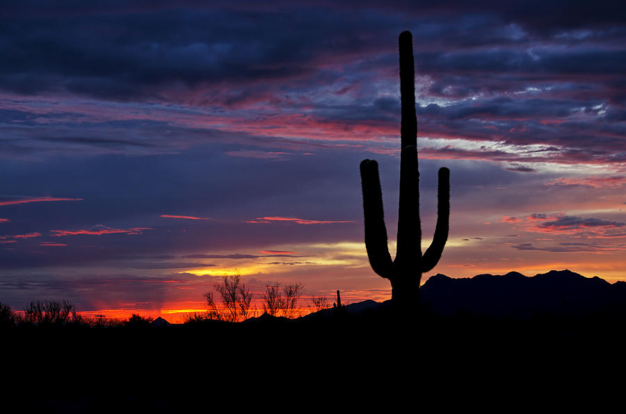 Sunset Photograph - Painted Desert Skies  by Saija Lehtonen