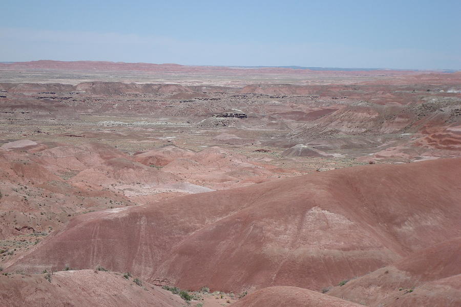 Painted Desert Photograph by Susan Woodward