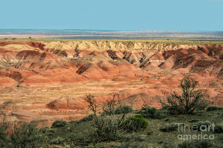 Painted Desert Photograph by Suzanne Luft