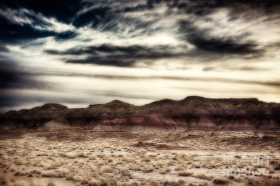 Painted Desert V11 Photograph by Douglas Barnard