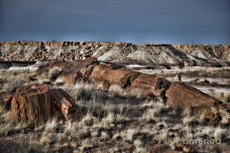 Painted Desert V2 Photograph by Douglas Barnard