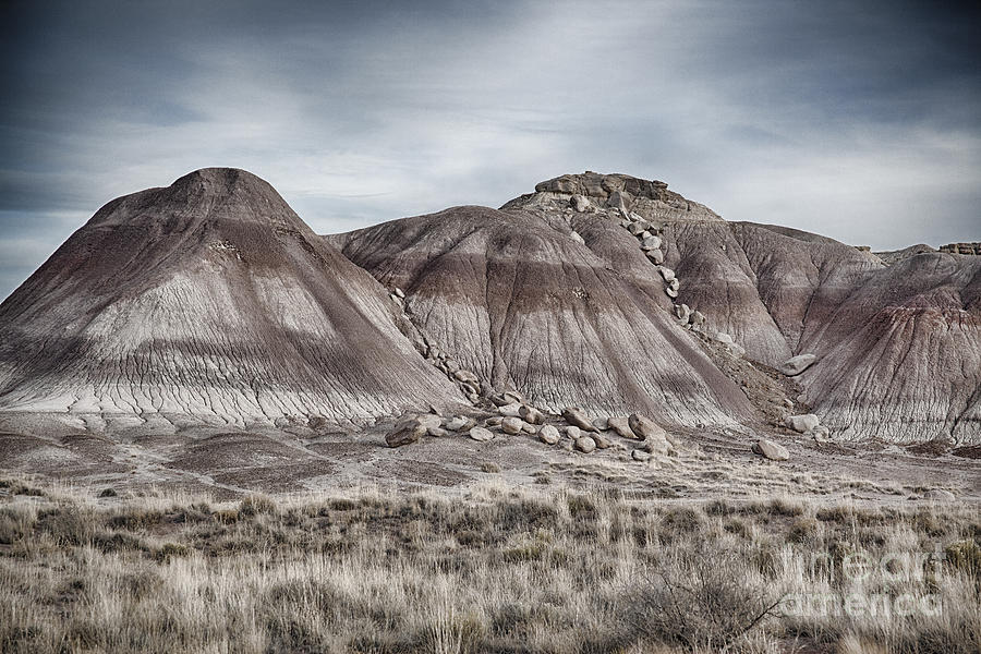 Painted Desert V5 Photograph by Douglas Barnard