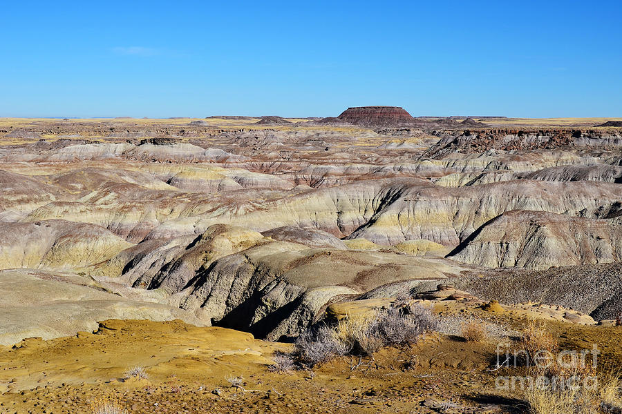 Painted Desert View in Petrified Forest National Park Digital Art by Shawn OBrien