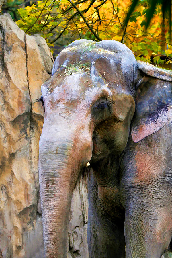 Wildlife Photograph - Painted Elephant by Athena Mckinzie