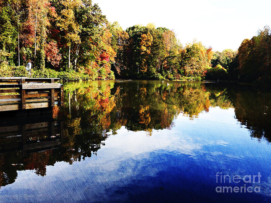Fall Photograph - Painted Fall in Summerfield by Nancy Stein