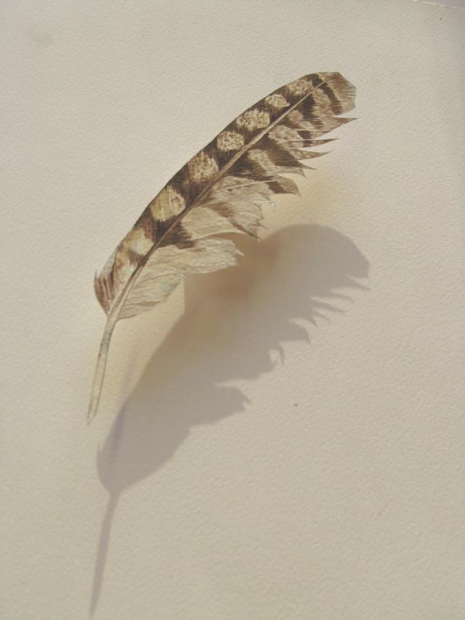 Painted Feather Painting by Alfred Ng