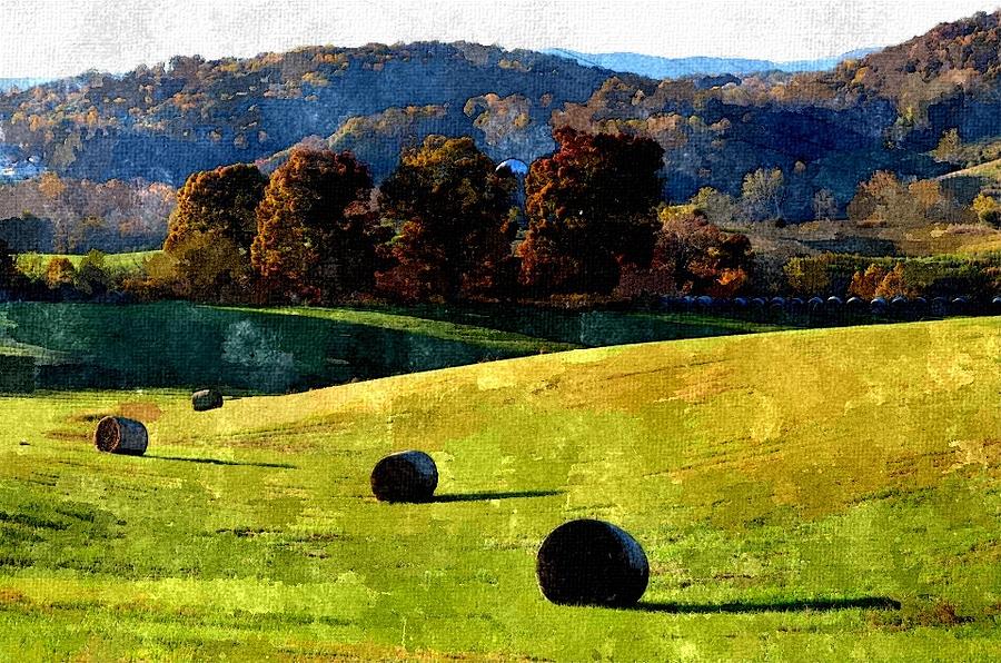 Painted Fields Photograph by Cathy Shiflett