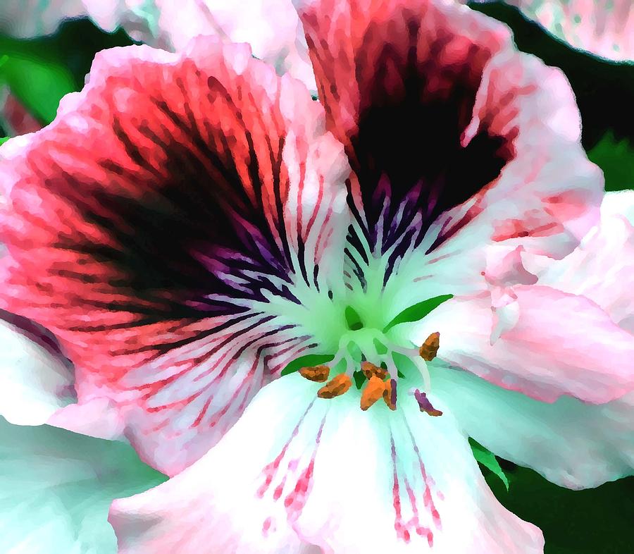 Painted Floral Photograph by Deena Stoddard