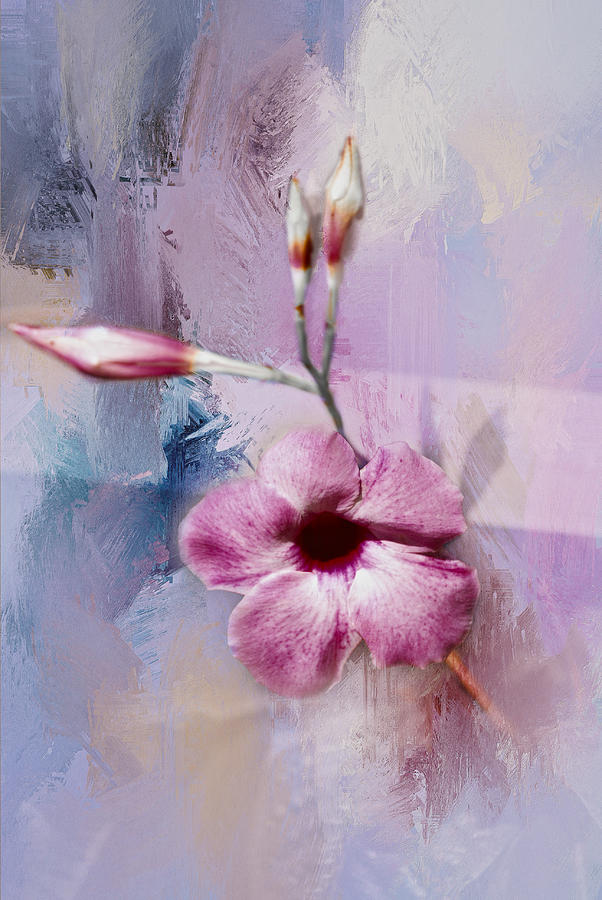 Painted Flowers Photograph by Judy Hall-Folde