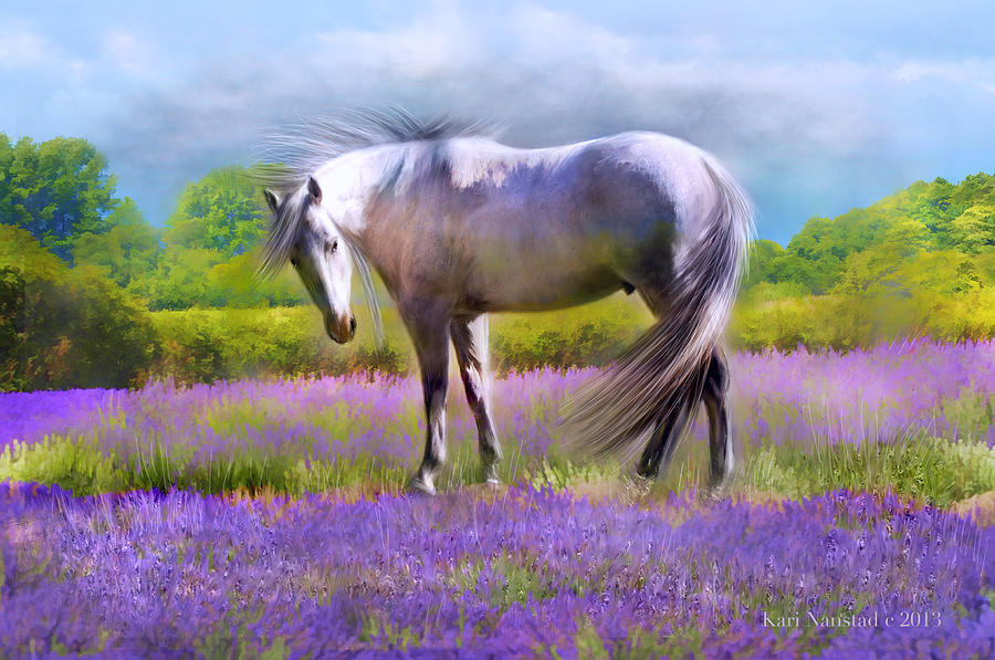 Painted For Lavender Digital Art by Kari Nanstad