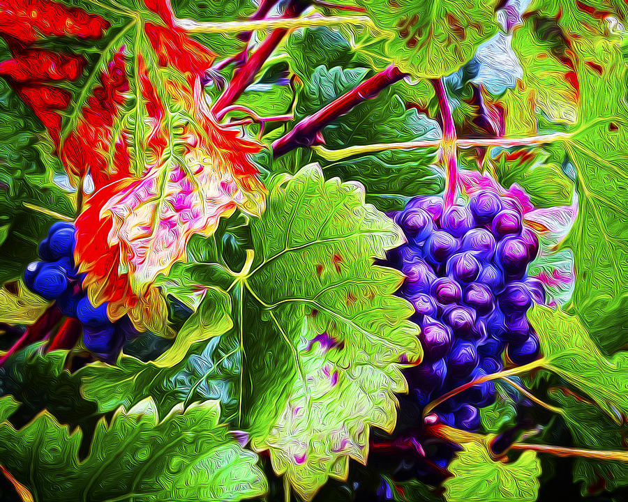 Painted Grapes Photograph By Katie Quinn Fine Art America   Painted Grapes Katie Quinn 