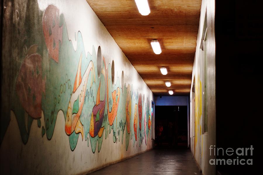 Painted Hallway Photograph by Lynda Dawson-Youngclaus