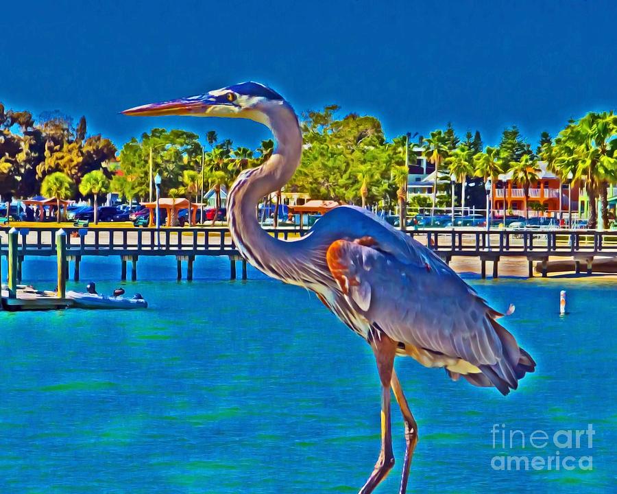 Painted Heron Photograph by Stephen Whalen