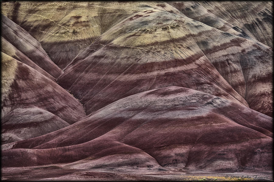 Painted Hills Photograph by Erika Fawcett