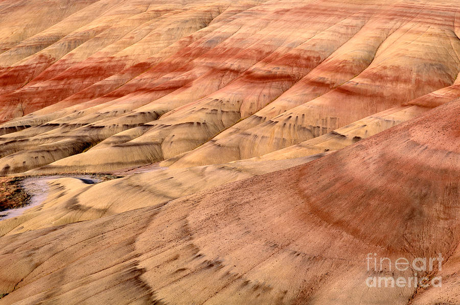 Painted Hills Photograph by Jim Corwin