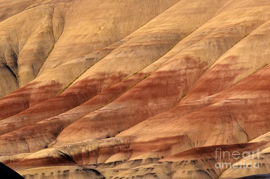 Painted Hills John Day Fossil Beds Photograph